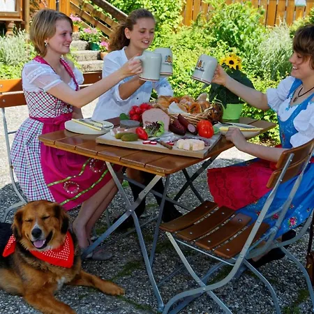 Kollmerhof *